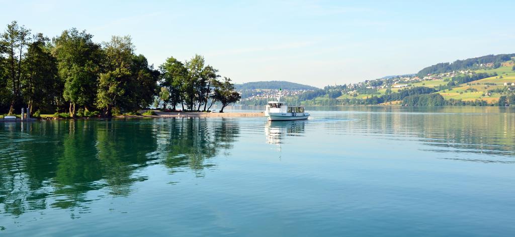 Meisterschwanden Seehotel Delphin מראה חיצוני תמונה